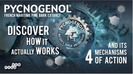 Why does Pycnogenol® offer such a wide range of health benefits? Its mechanisms of action explained