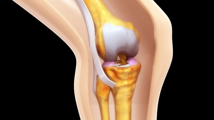 Easy Climb™ Helps Improve Joint Health in 30 Days