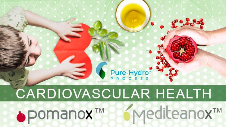 Mediteanox® and Pomanox®: Cardiovascular Health evidence