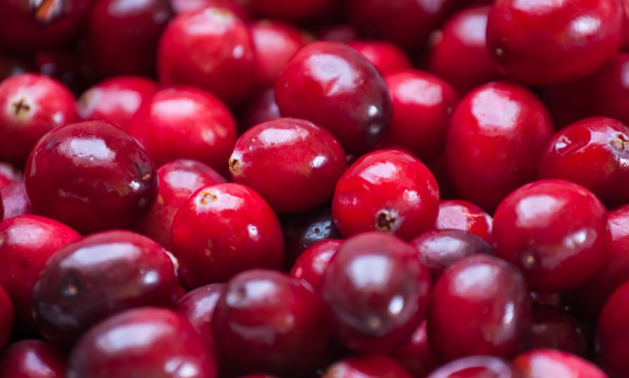 Givaudan’s cranberry ingredient may halve the risk of recurrent urinary tract infections