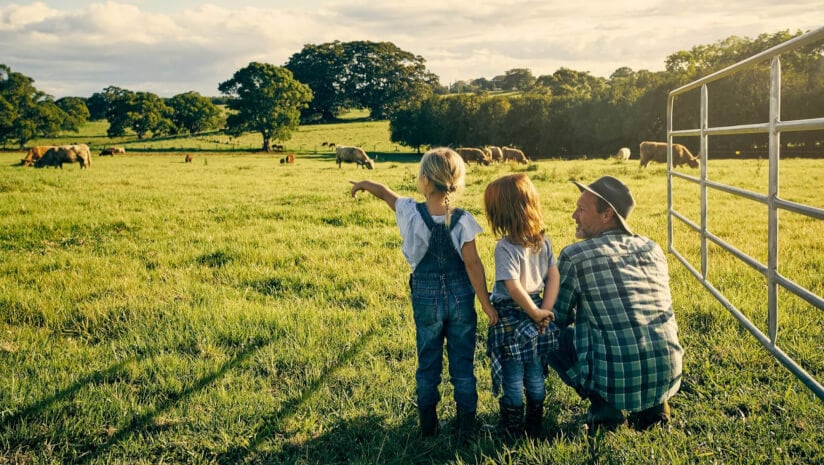 Does the future of organic hang in the ‘bromance’?