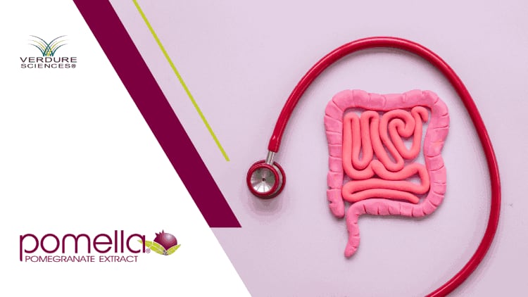 Pomella® Extract: Prebiotic Potential in New Study