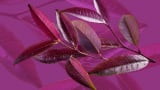 How purple tea enhances GLP-1 signaling to support TMAO reduction  
