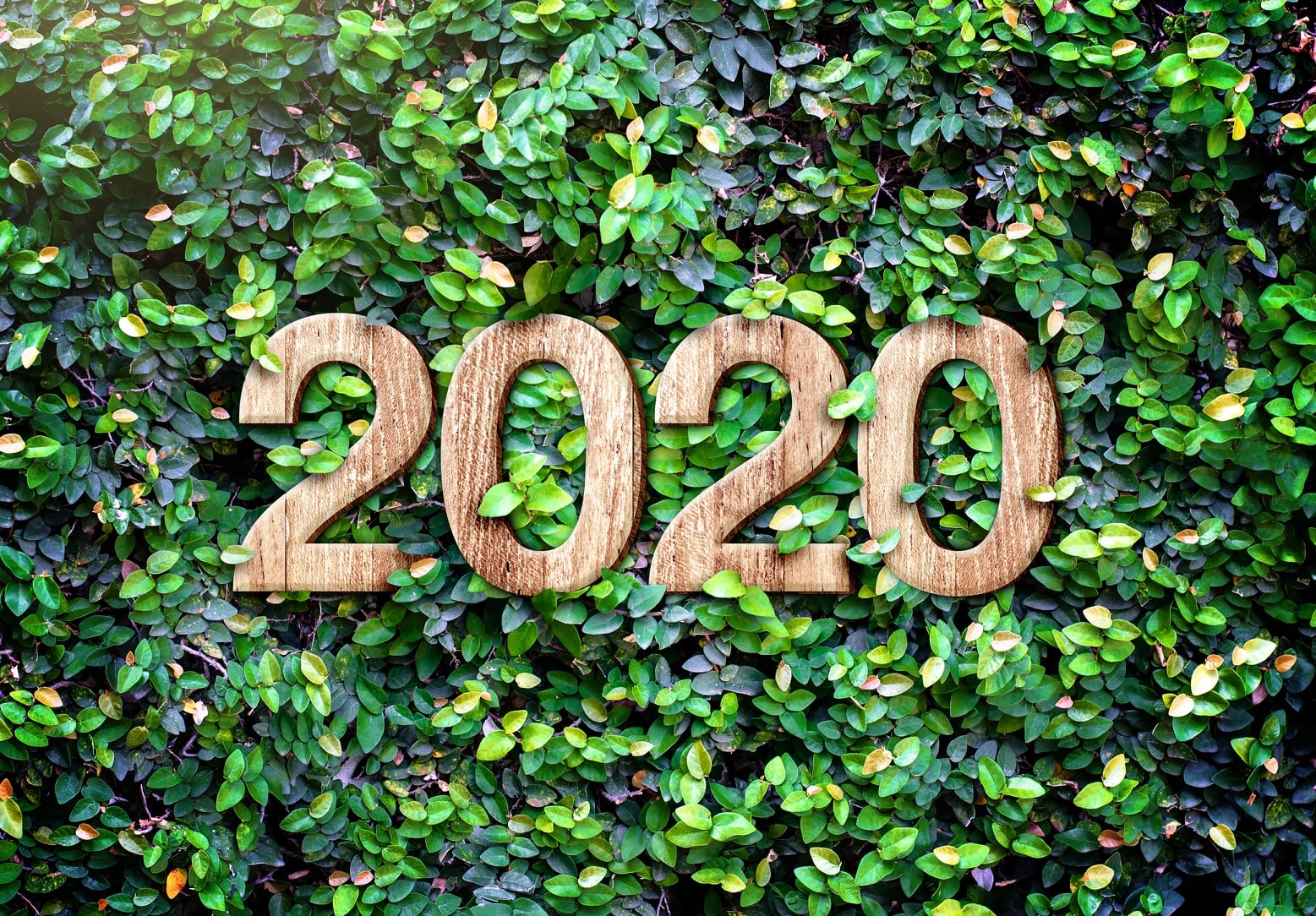 2020 predictions: Staff changes at FDA, CBD, personalization, and the microbiome