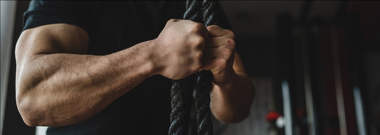6′-Sialyllactose research shows potential in countering age-related muscle loss