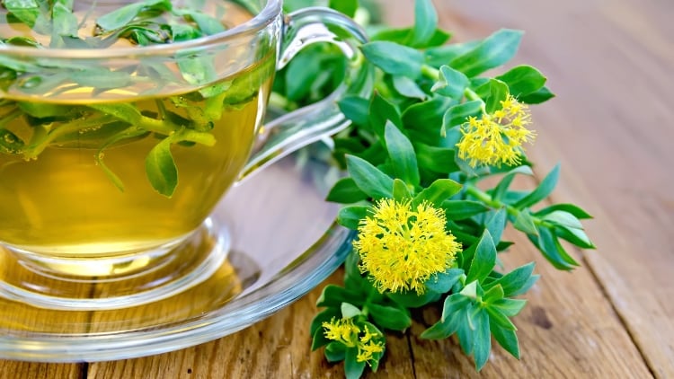 The solutions to botanical supply chain challenges