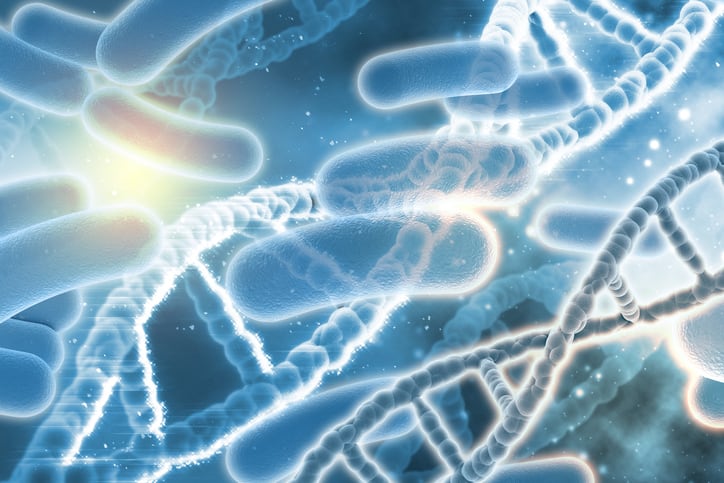 Study reveals how genetics impact creatine's muscle building efficacy