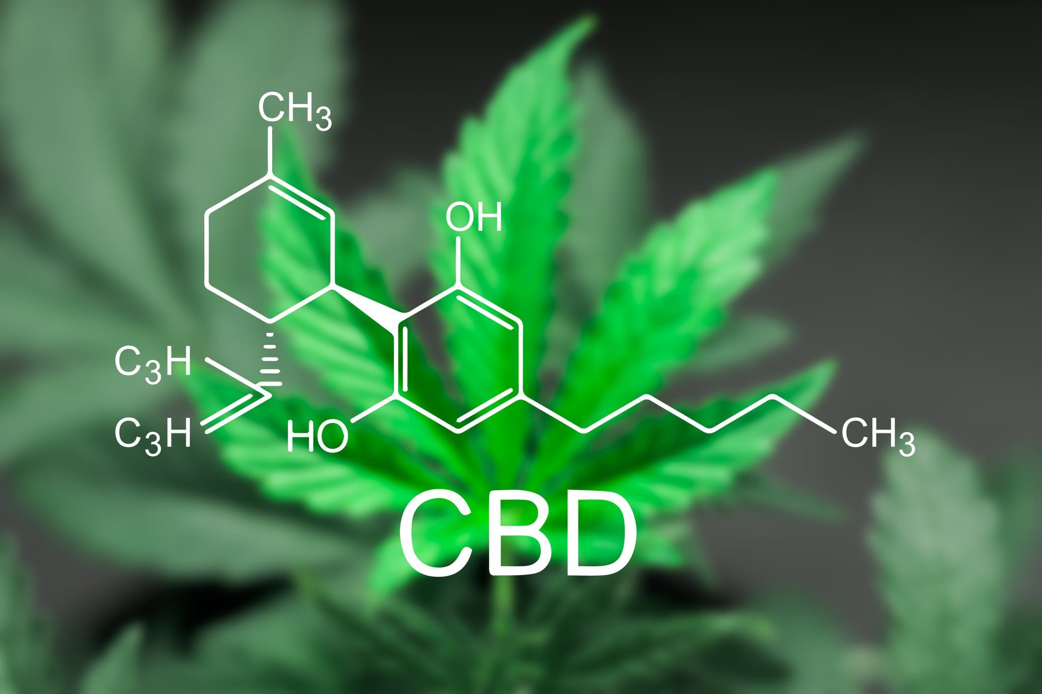 We need solid regulations, not product bans: Expert weighs in on CBD in 2025
