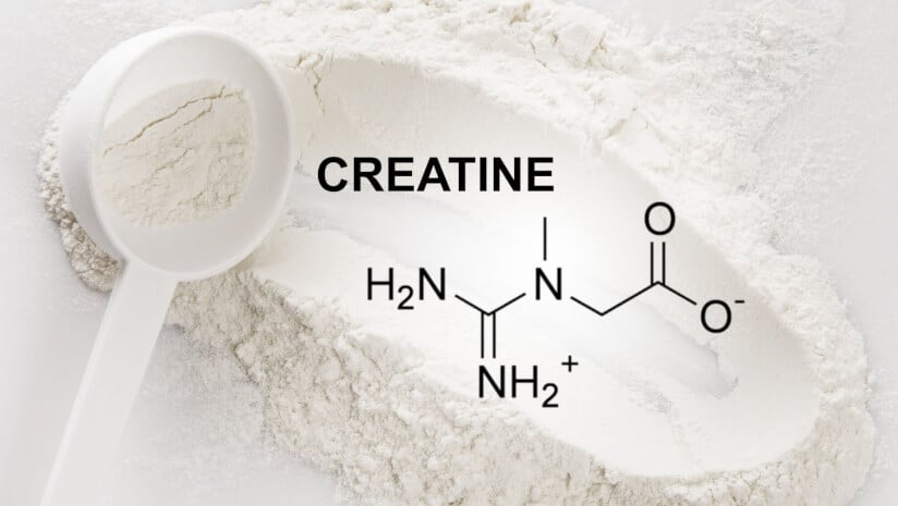 From muscle to memory and menstruation: A round-up of the latest creatine science