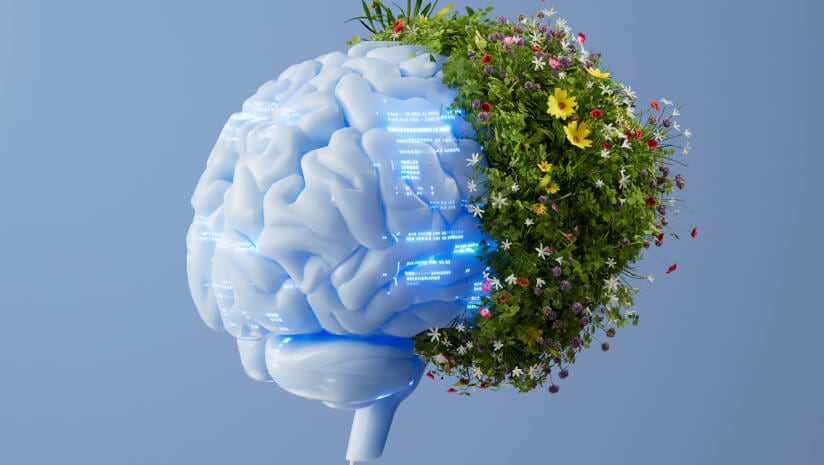 Ayana Bio’s VP of innovation talks harnessing the power of AI 