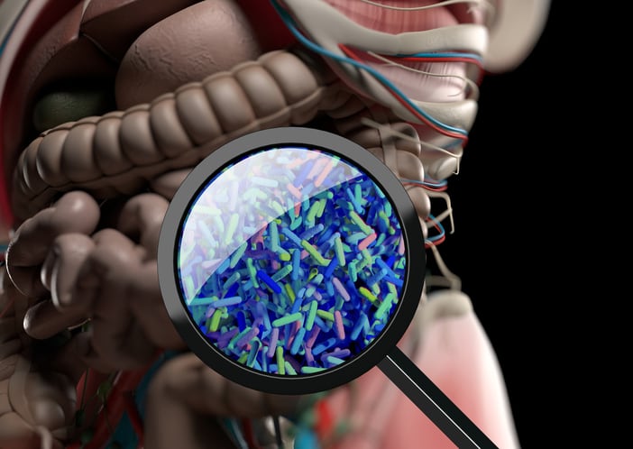 New research highlights individual responses to probiotics among menopausal women 