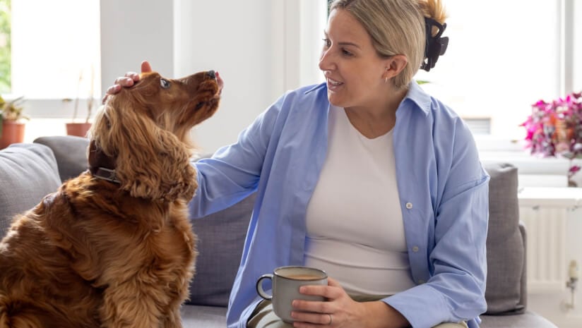 ADM positions itself as a leader in pet postbiotics