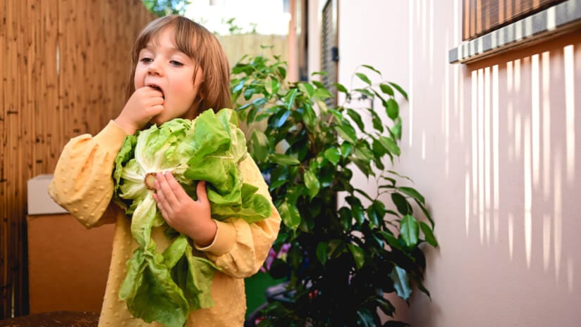Enriched lettuce as effective and more tolerable than iron supplements?