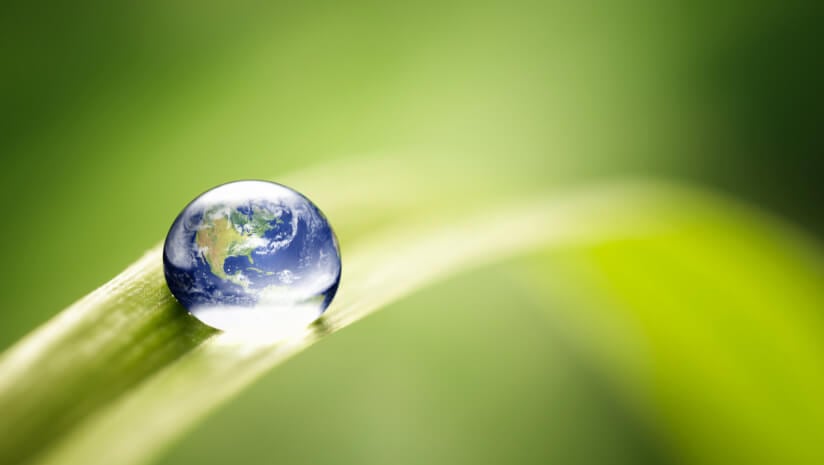 2025 Organic & Natural Health conference: Planet’s health and humanity’s future in focus