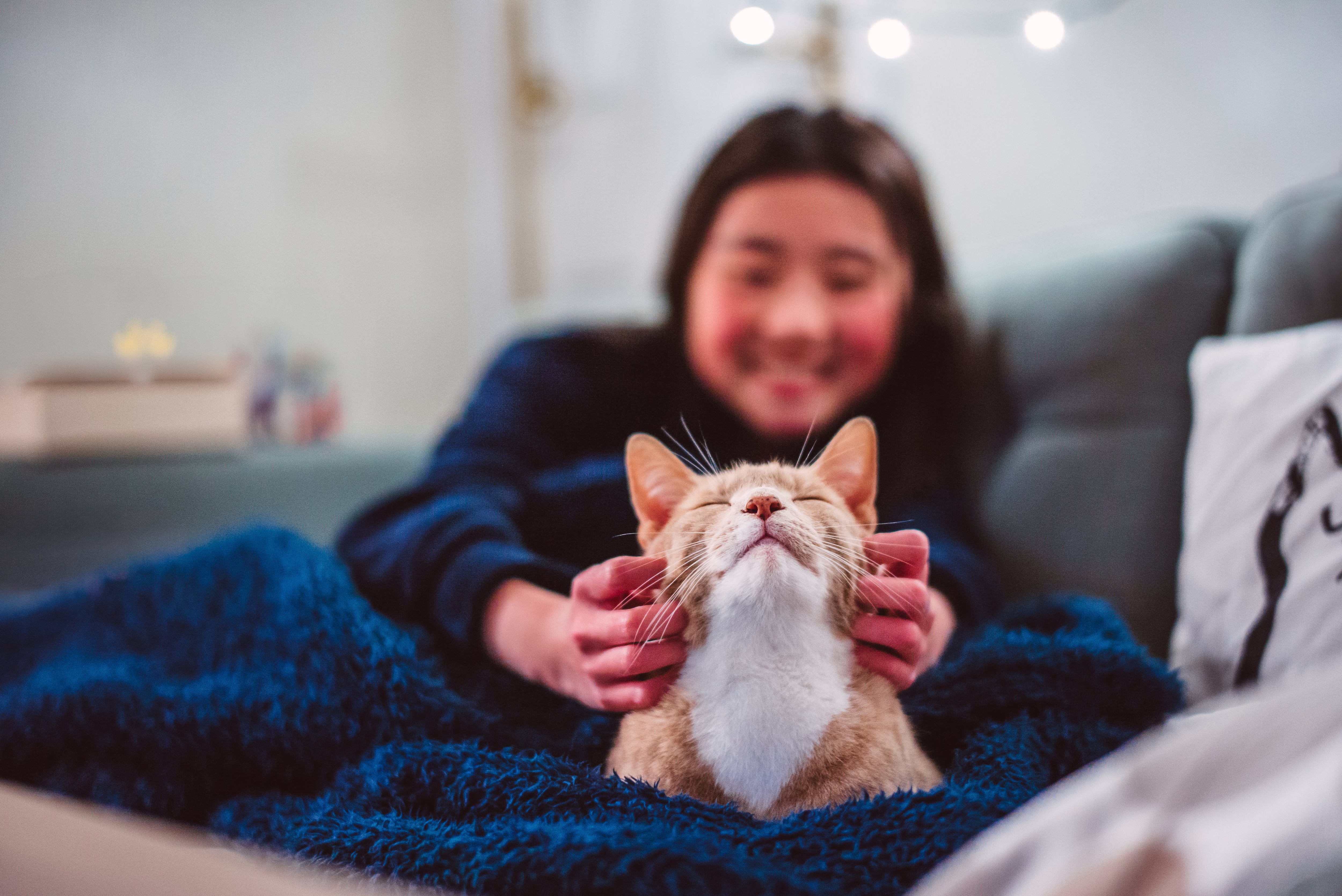 Special edition: Exploring a new era for pet supplements