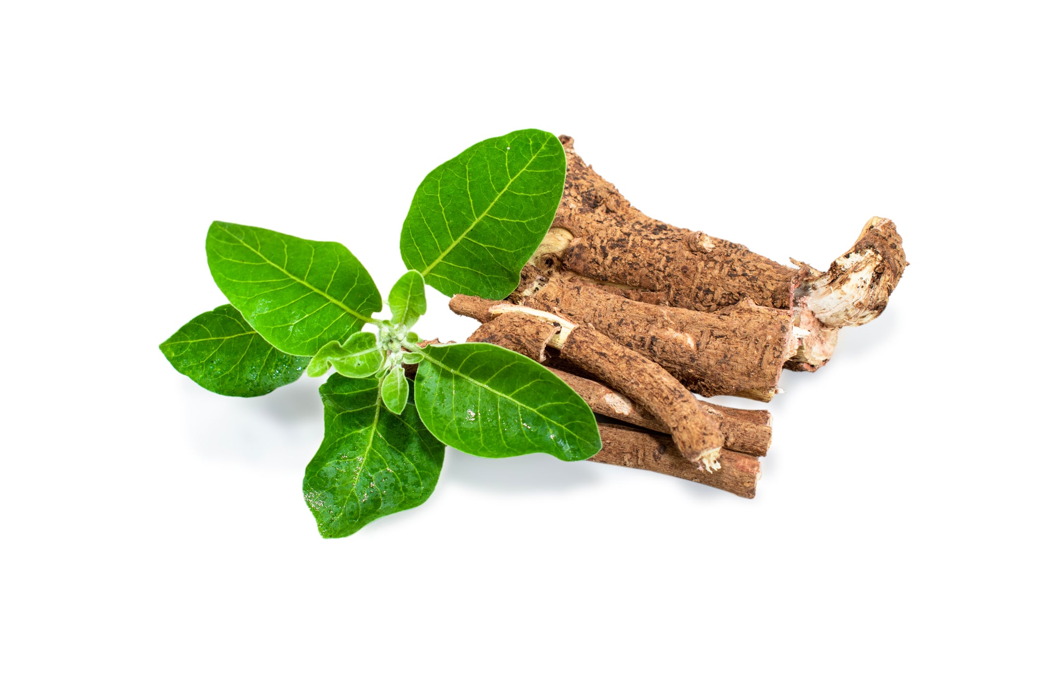 Low-dose ashwagandha root and leaf extract may relieve stress and anxiety 