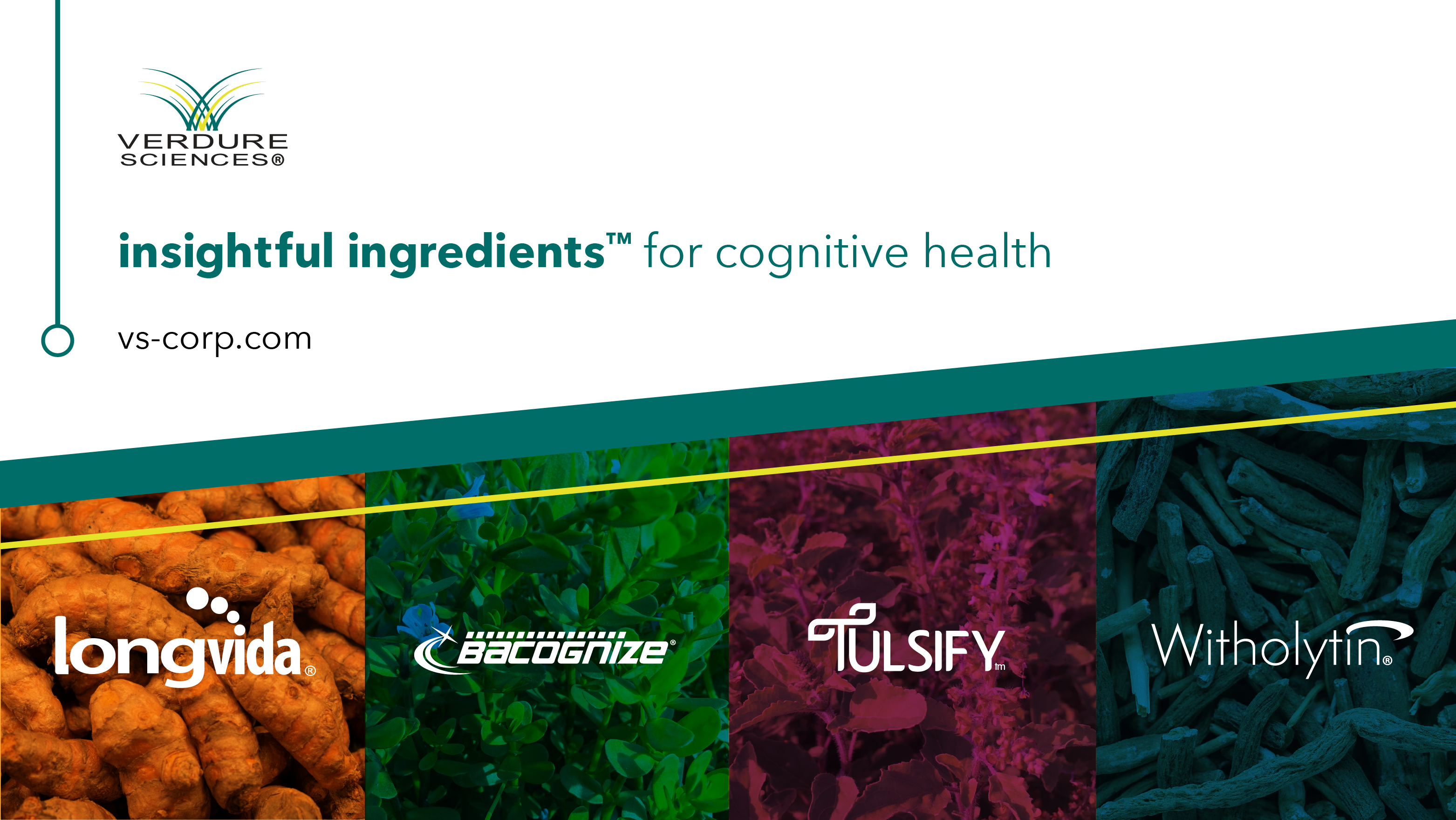 Active Ingredients for Cognitive Health